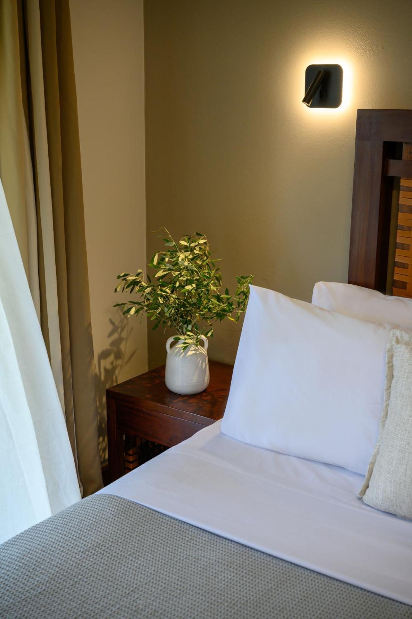 Elisso Boutique Hotel ヴァシリキ エクステリア 写真
